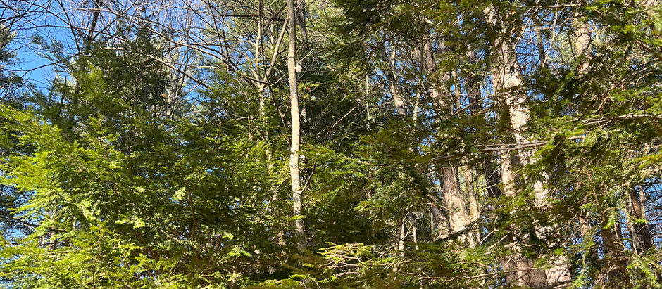 Spaces: "Human approval is commentary; divine blessing is authorship."