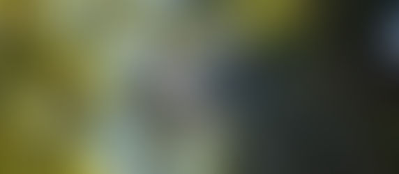 Spaces: "When our work, calling, and gifting all flow from the identity God put in us, how do we build together — by forcing everyone under one structure, or by letting our gifts meet each other the