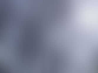 “The bird(s) knows exactly which direction to go in, and who to go in it with!” “It knows