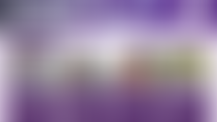 Business Economics and Innovation & Entrepreneurship: Internal Networking 2024