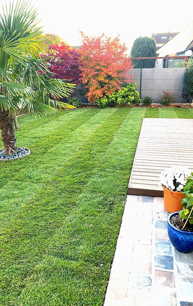 gazon plaquage pavé et terrasse bois_edi