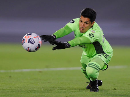 Goleiro por um dia
