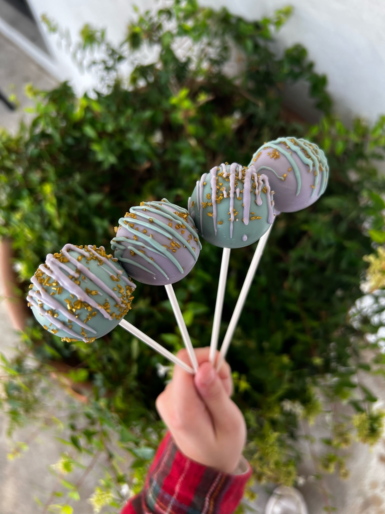 Cake Pops - dozen mini