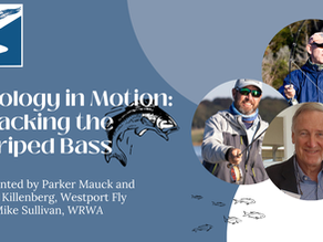 Nature Talk: Ecology in Motion -Tracking the Striped Bass