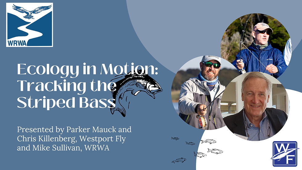 Nature Talk: Ecology in Motion -Tracking the Striped Bass