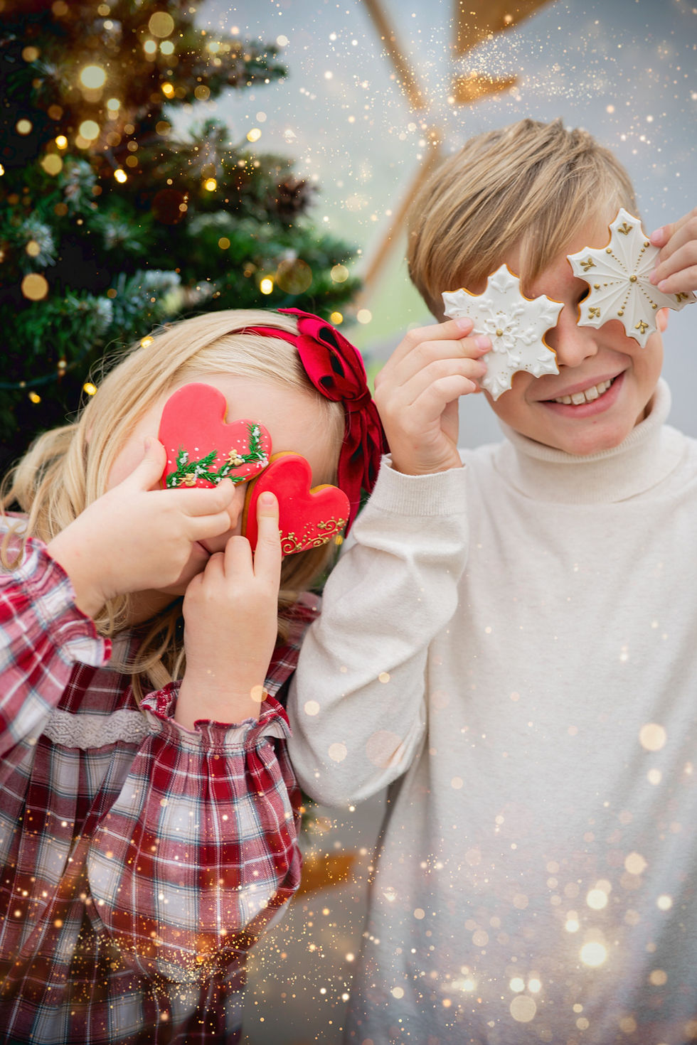 novak photo feelings sesja świąteczna -9544