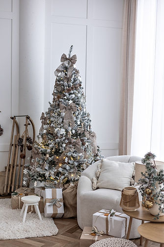 novak photo feelings sesja swiateczna 2025-8842.jpg