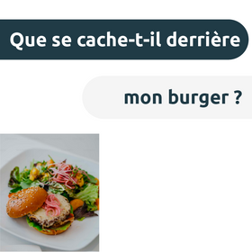 Impact environnemental : Que se cache-t-il derrière mon burger ?