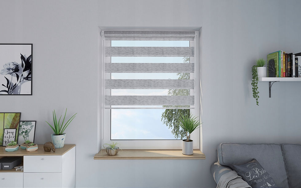 Thumbnail: Day and Night Blinds Premium with Screws
