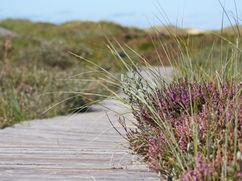 Challenges And Choices