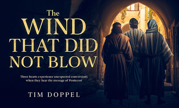The Wind That Did Not Blow book cover