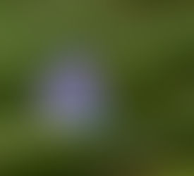 A Well-Deserved Rest