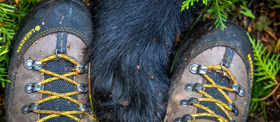 Lacrosse Ursa ES, MS, and LS GTX Hunting Boots