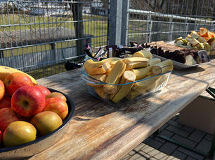 Die Ernährung spielt für den Trainingserfolg eine wichtige Rolle!
