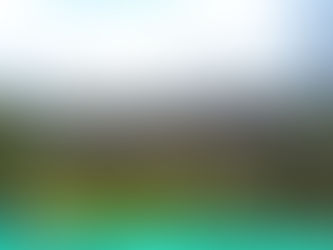 Retos de la seguridad alimentaria