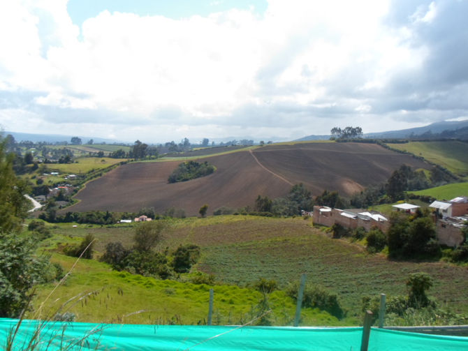 Retos de la seguridad alimentaria