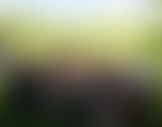 Promoviendo la participación desde la diversidad