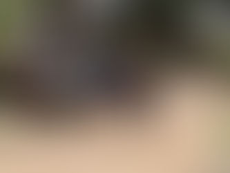 Retos de los gobiernos locales en el Post –Acuerdo