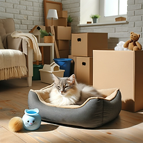 Déménager avec un chat immobilier vendre acheter 10-7 IMMO