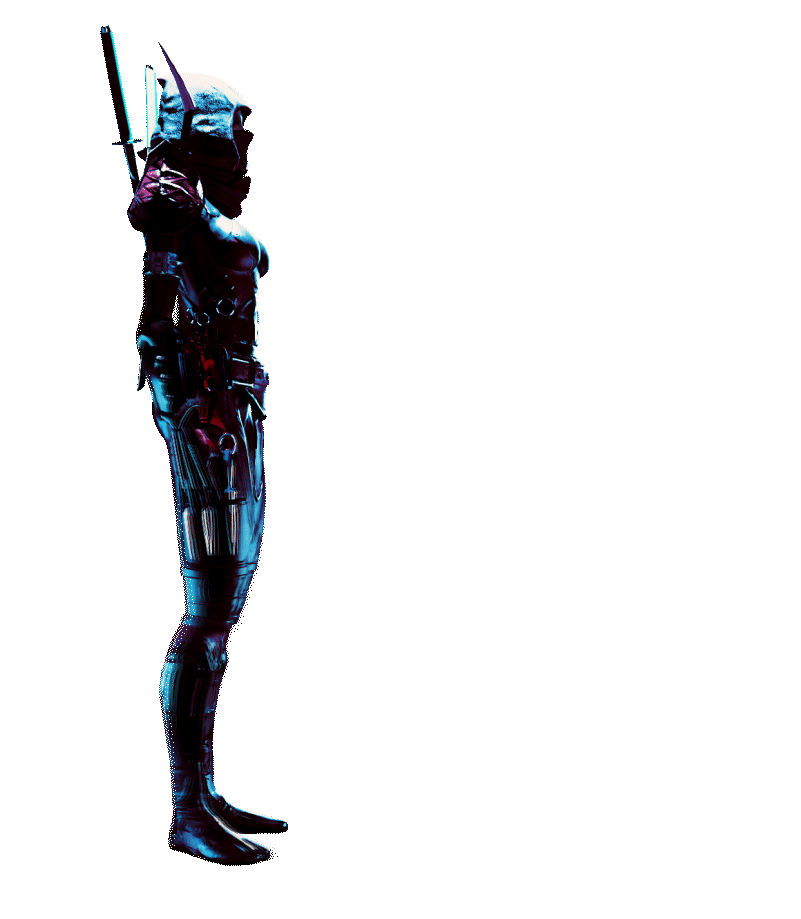 Mura_rig_martialarts_2small.gif