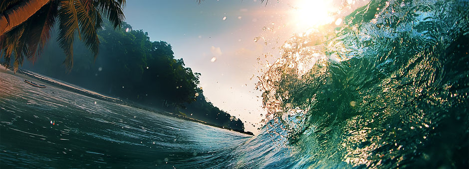 wave-5000x3105-ocean-palms-sun-5490.jpg