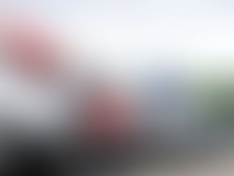 Las normas ambientales impulsan el desplome de 29.5%
en venta de camiones