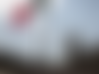 México sale del 'Top 10' de los países más atractivos para los
CEO en 2020: PwC