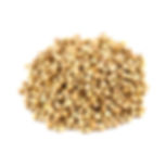 Coriander Seeds