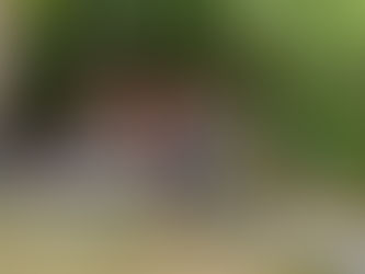 Spectacle déambulatoire: «Plácido_Mo - Montréal»: Viens voir les itinérants