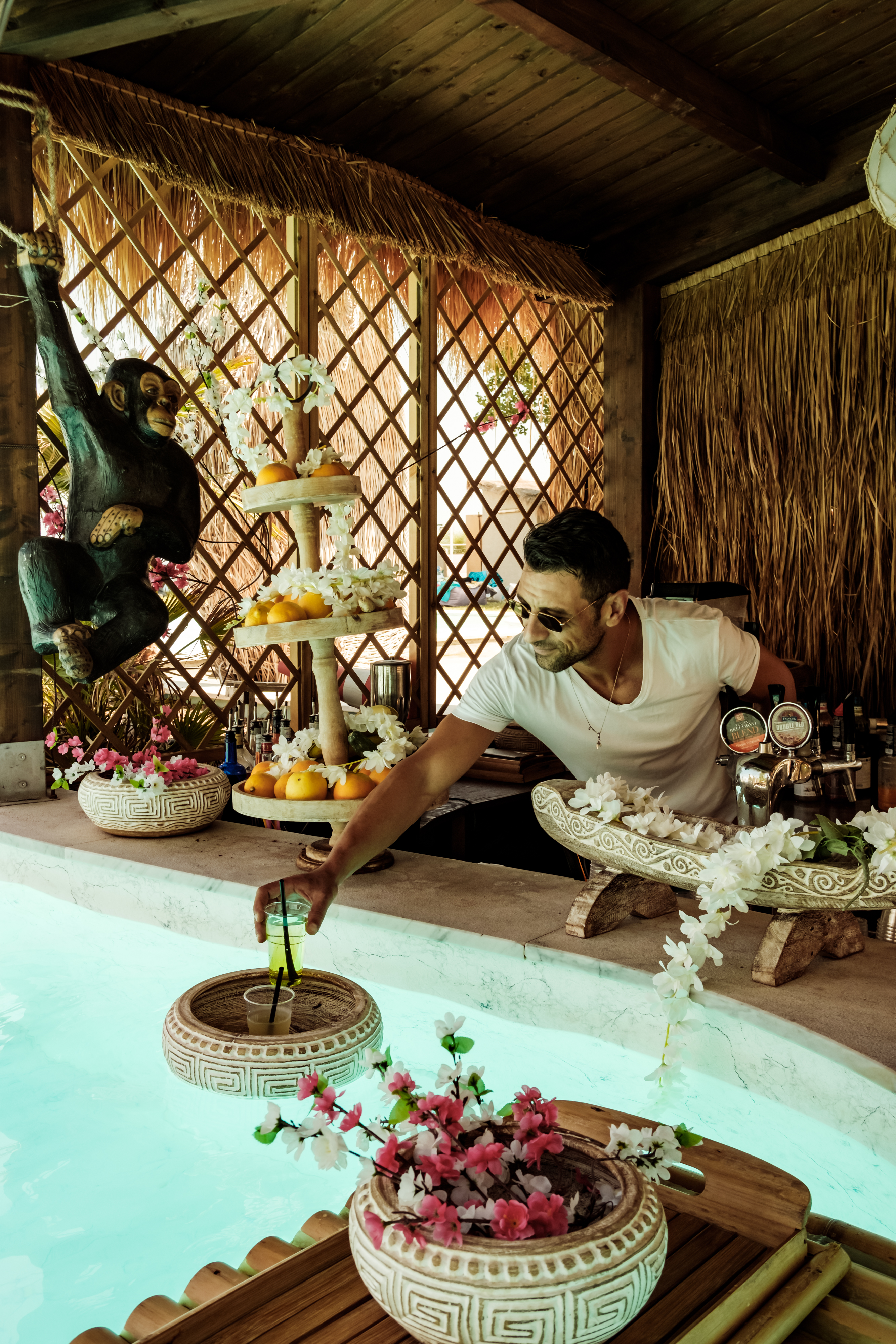 Arranged Food and Objects