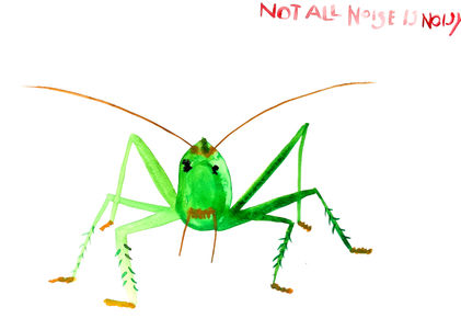 NOT ALL NOISE IS NOISY