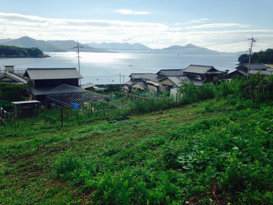 Shop Pitchfork Farms