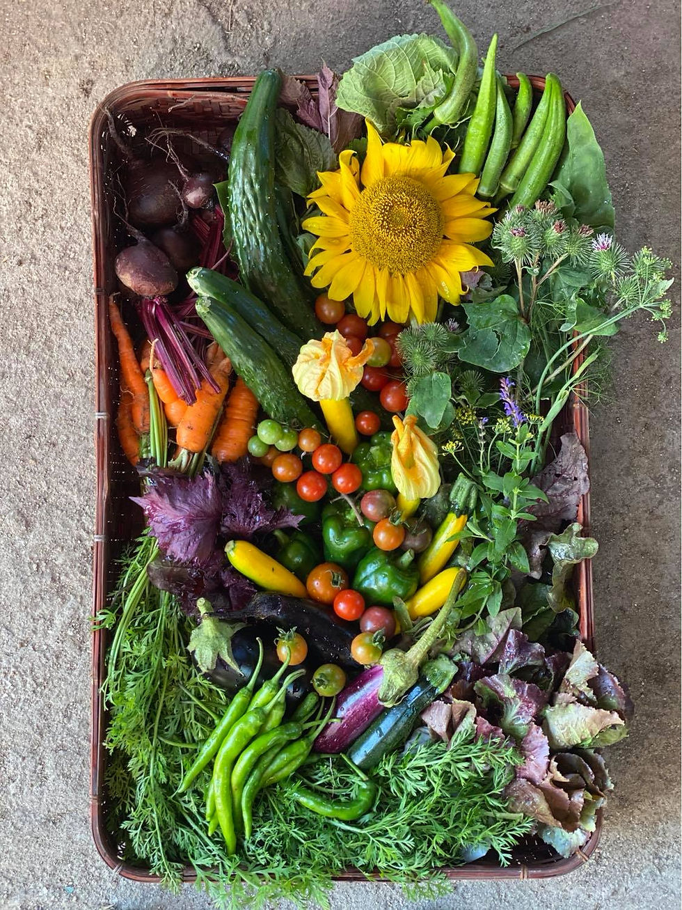 Shop Pitchfork Farms