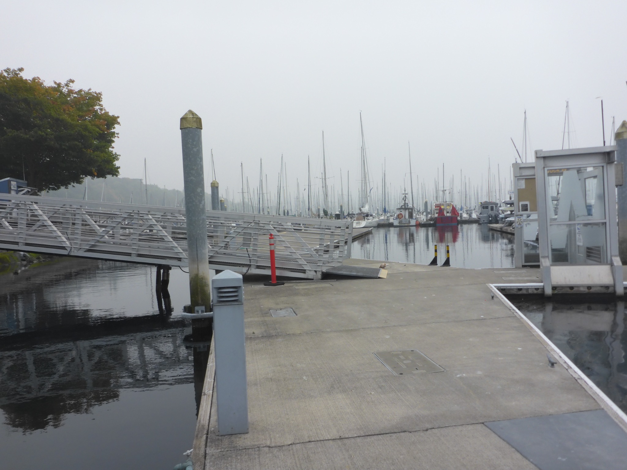 A floating marina dock disappearing into a foggy harbor