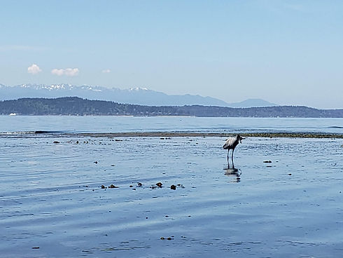 20190508_130332.jpg
