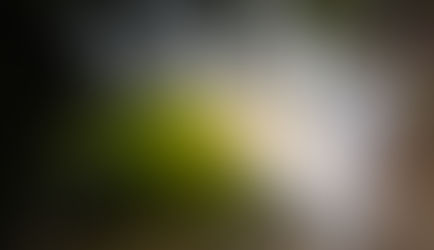 Tour de Foul Whidbey: A Dock Fouling Adventure