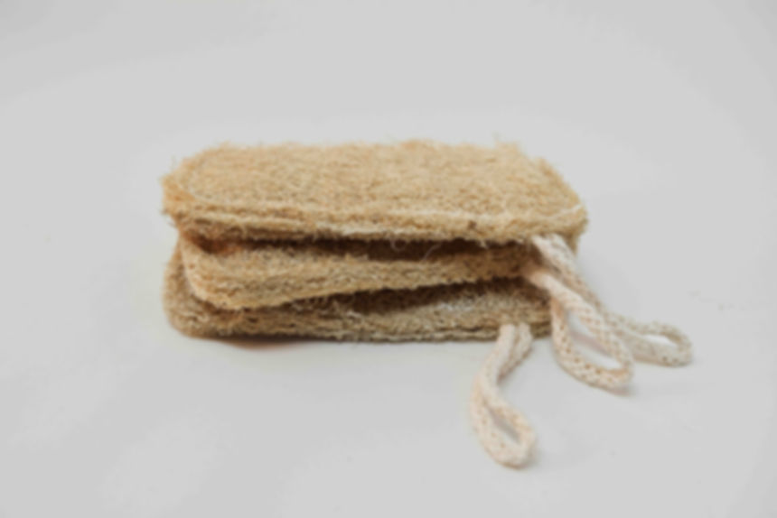 Loofah Sponge
