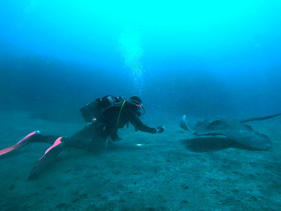 🌊 Dive into the Soul of Tenerife: My Underwater World