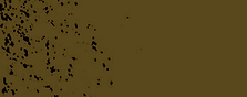 Frame 36.png