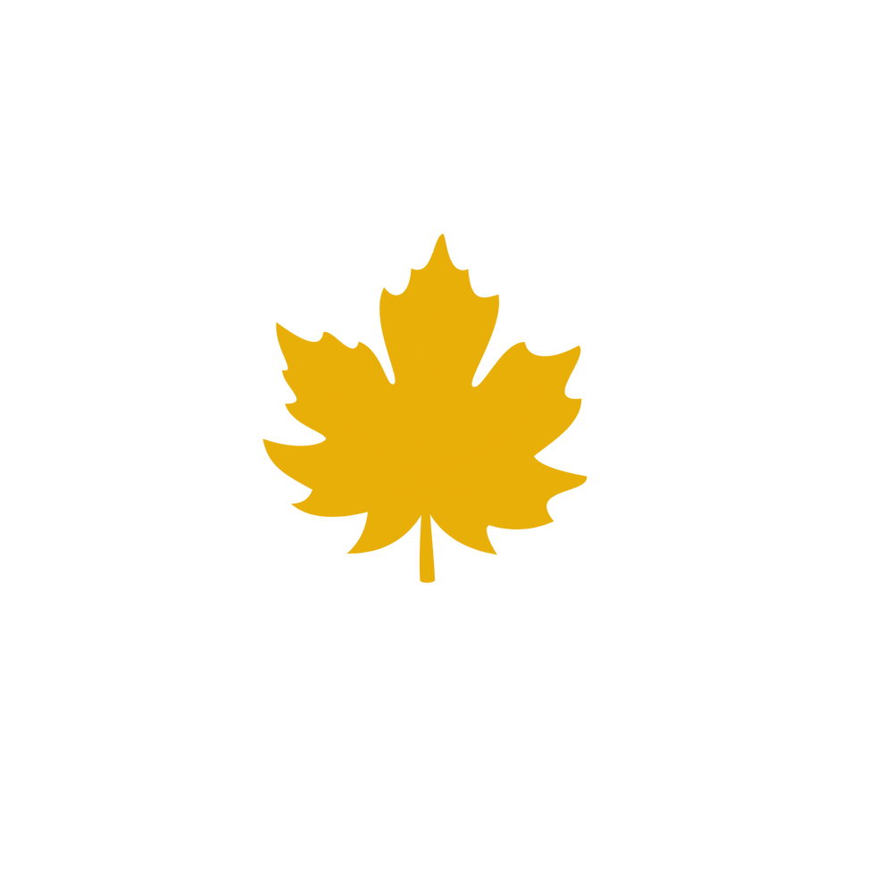 12.png