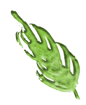 Nature Spirit