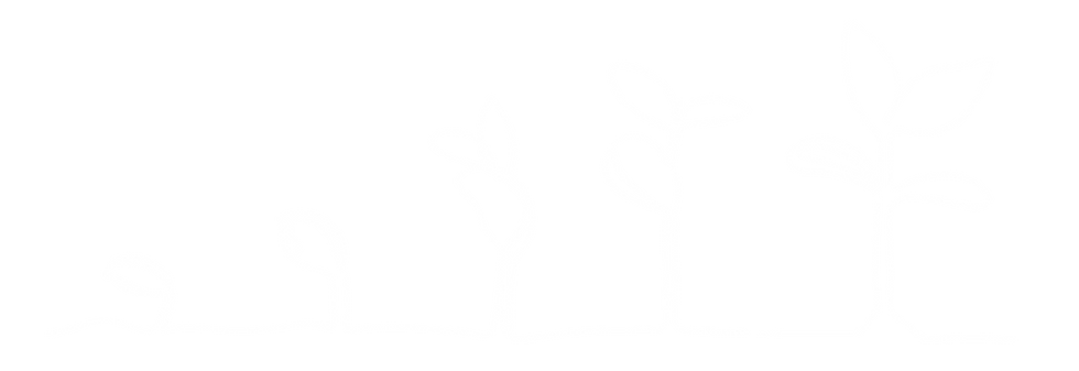 Untitled design (16).png