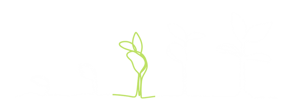 PK2.png