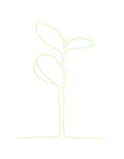 KSS Line Art Plant Growing.png