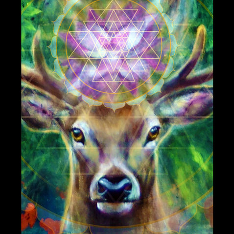 Visionary painting of a deer with lotus flower and sacred geometry yantra symbol.