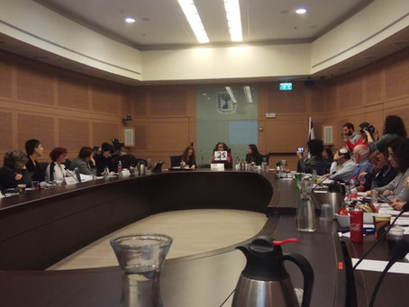 Excluded from politics, Orthodox women fight back