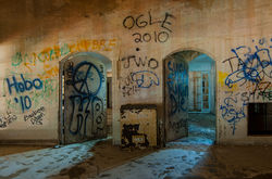 Ogle
