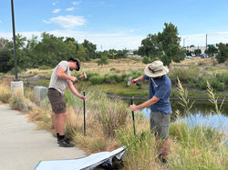 996401DE-4B21-415C-8357-A1B92D4E8BF0_1_105_c