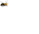 bee flying.gif