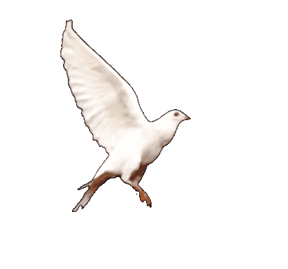 19d366966f7326074514663467aaa624.gif